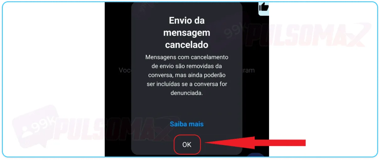 Confirmation of message cancellation from Instagram.