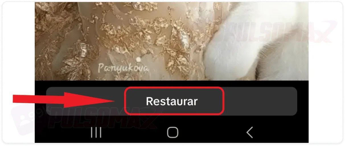 Restore Story on TikTok