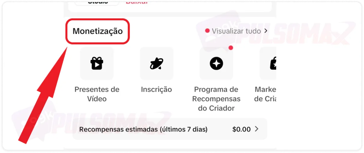 Image showing the monetization section in the TikTok app.