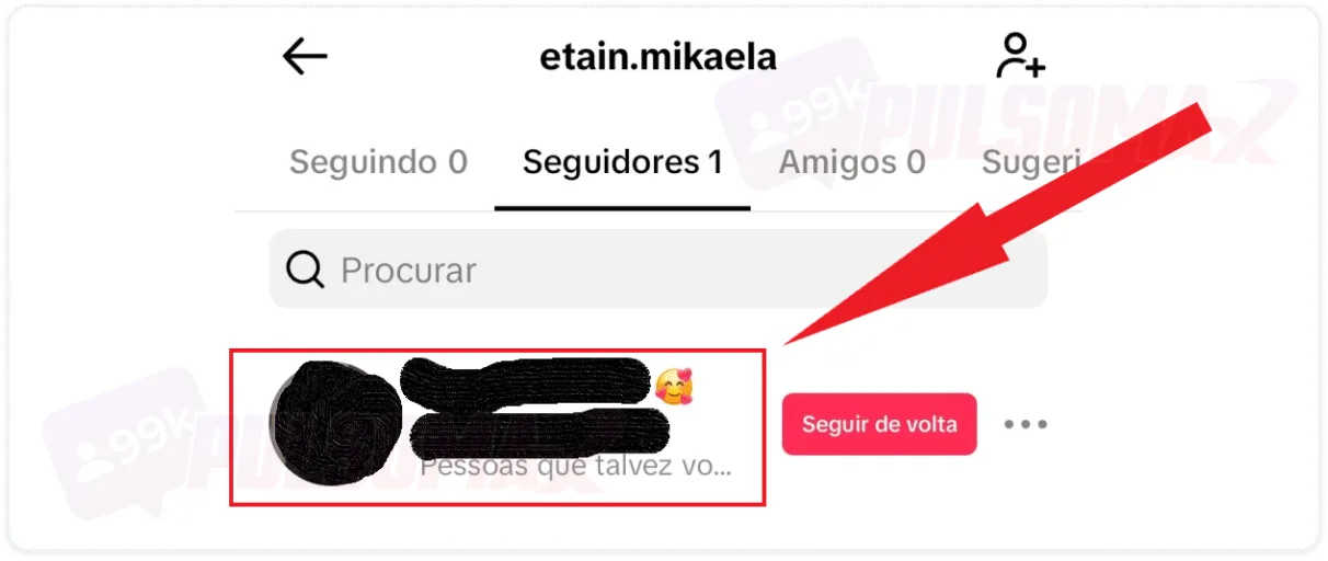 Print mostrando seguidor na lista de seguidores TikTok.