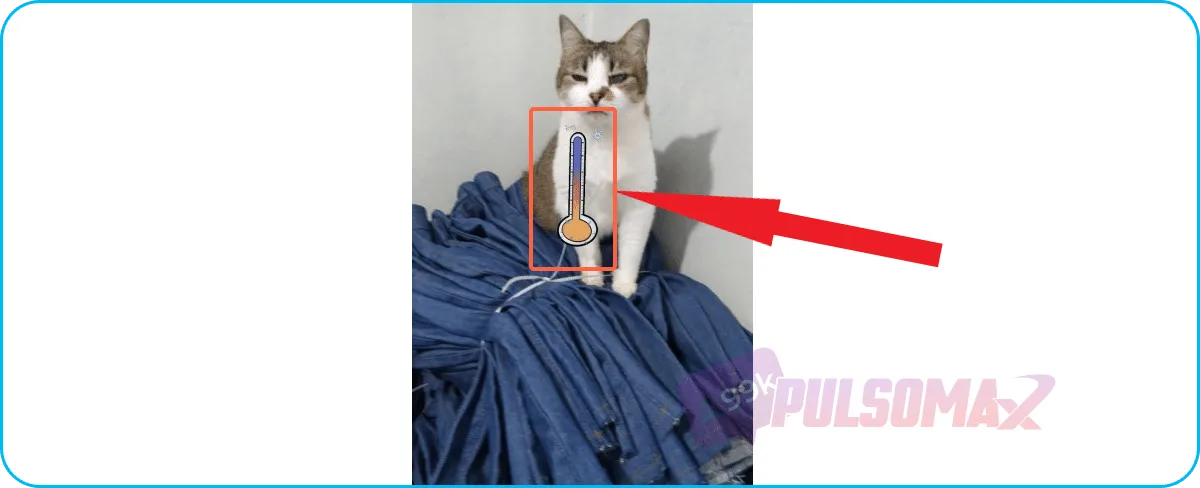Selected temperature GIF displayed in the center of the screen.