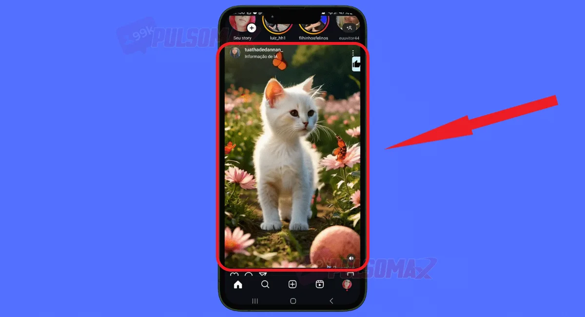 Screenshot of a video reel appearing in the Instagram feed.