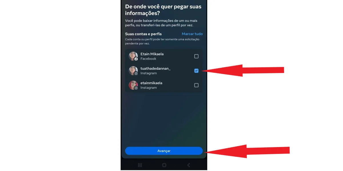 Select a profile to download Instagram information.