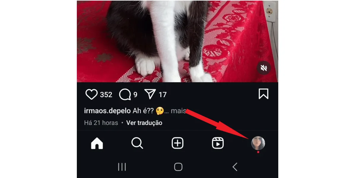 Screenshot from Instagram showing the location of the profile picture in the bottom right corner of the screen.