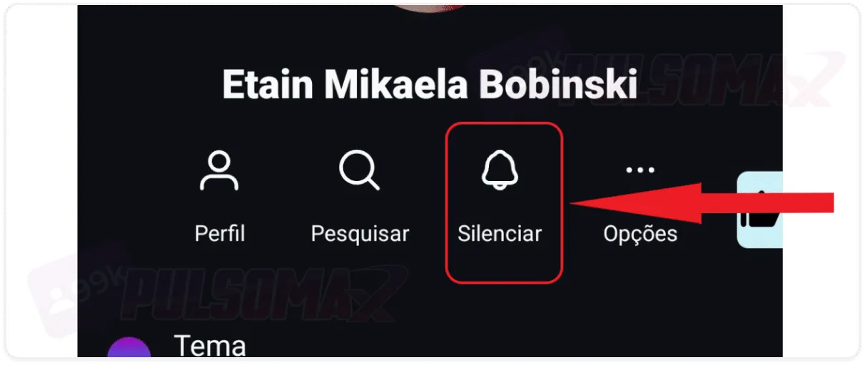 Option to mute in the user's profile.