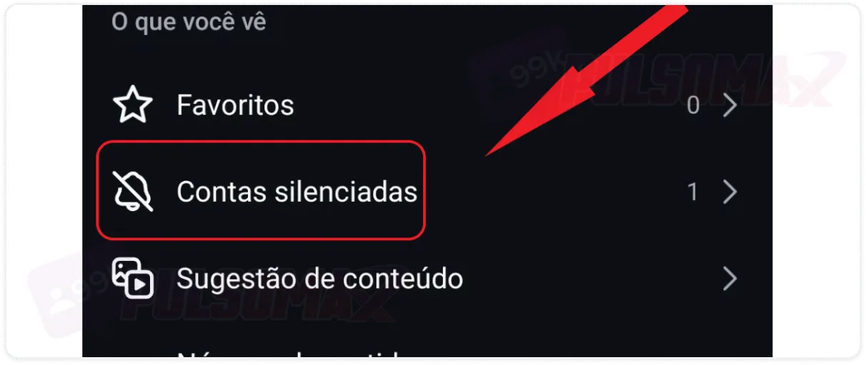 Option to mute accounts on Instagram.