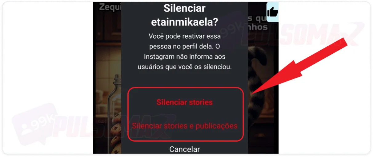 Confirmation of muting stories on Instagram.