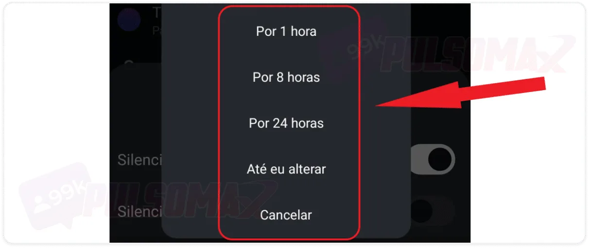 Time options for muting messages in DMs.