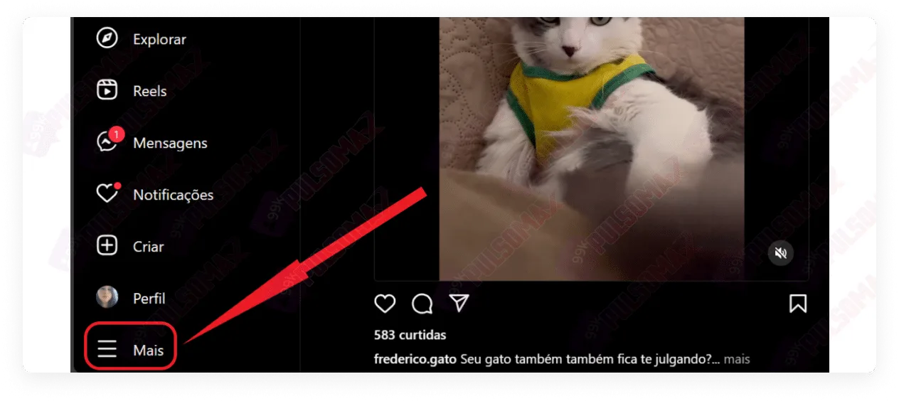 More information on Instagram Web.