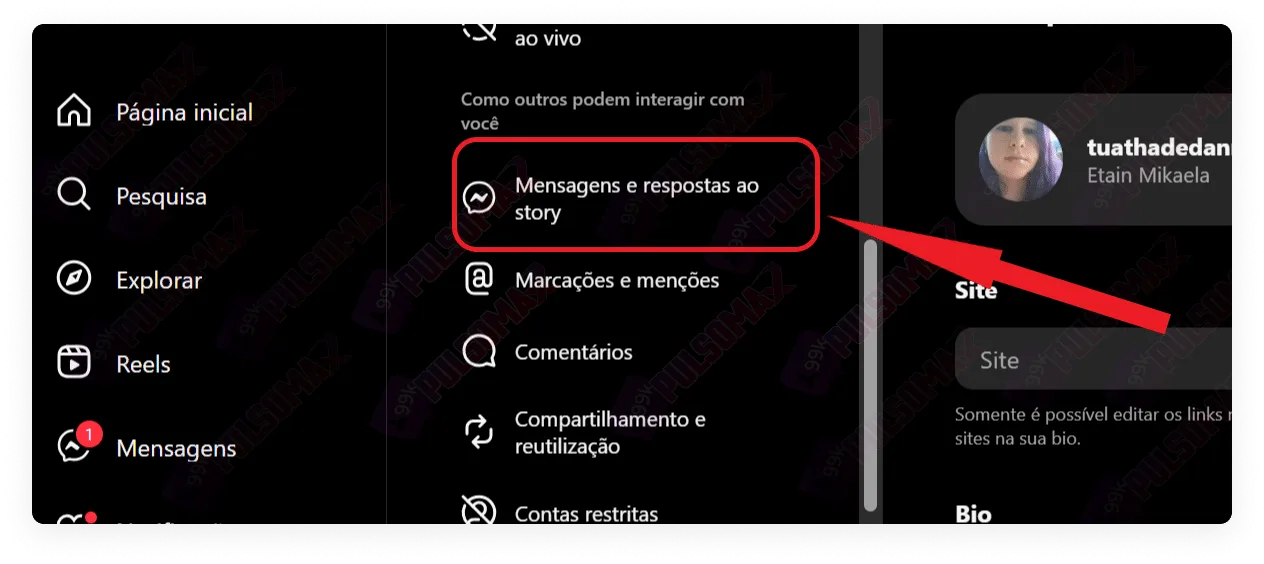 Messages and replies to Instagram stories on the web.