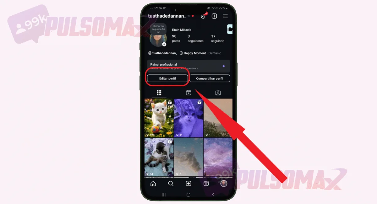 Edit profile button on Instagram