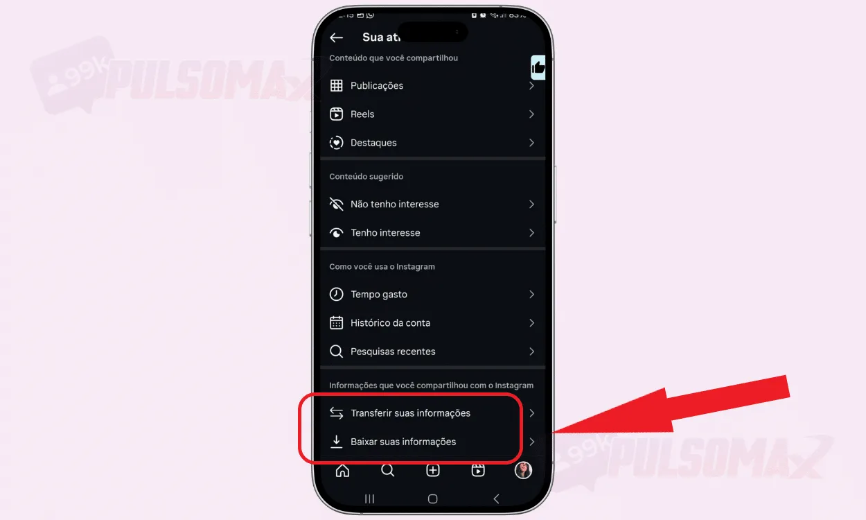 Download Instagram information