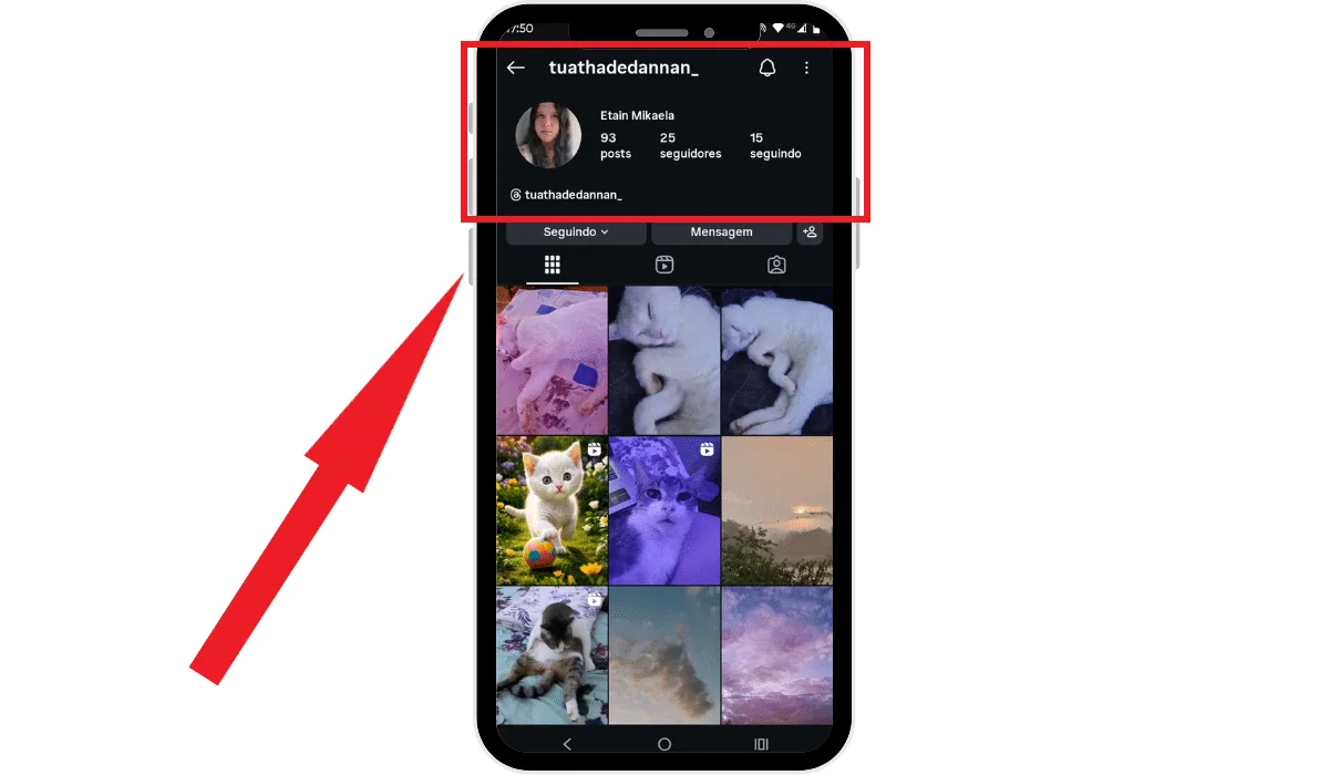 Mistakes you shouldn't make when buying Instagram followers - screenshot showing a real Instagram profile