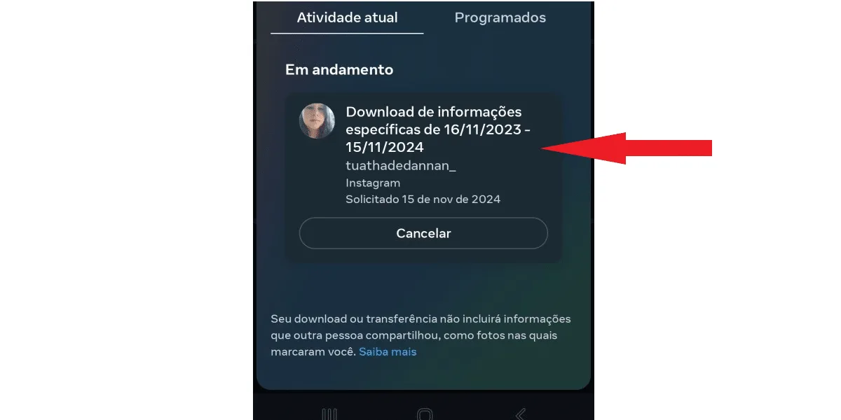 Screenshot showing the Instagram download file in process.