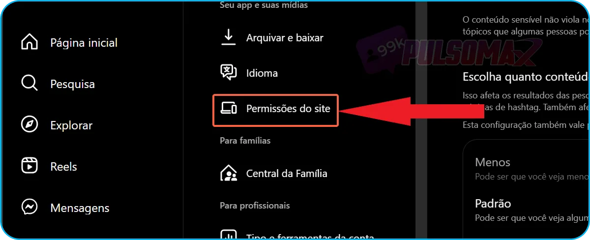 Instagram website permissions.