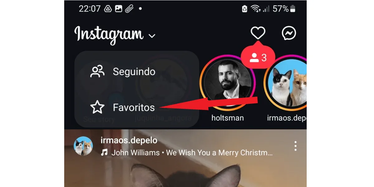 Image showing where Instagram favorites are located.