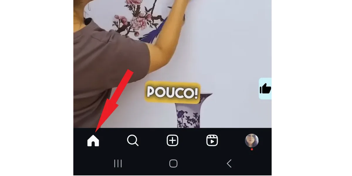 Screenshot of a profile showing where the feed is located on Instagram.