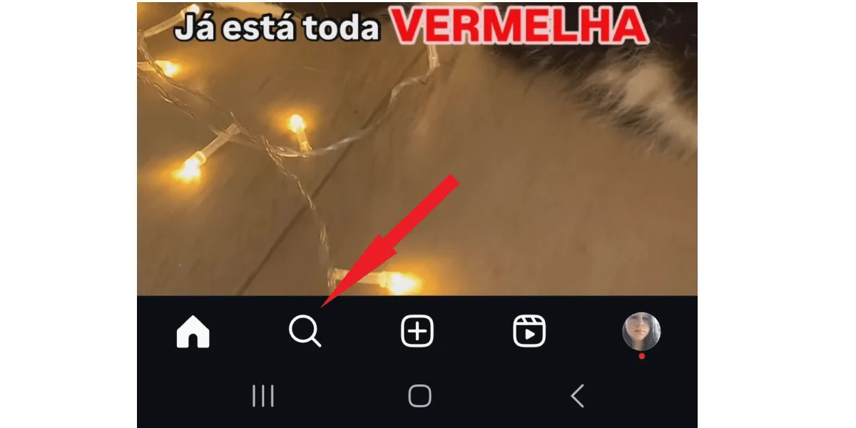 Instagram search button.