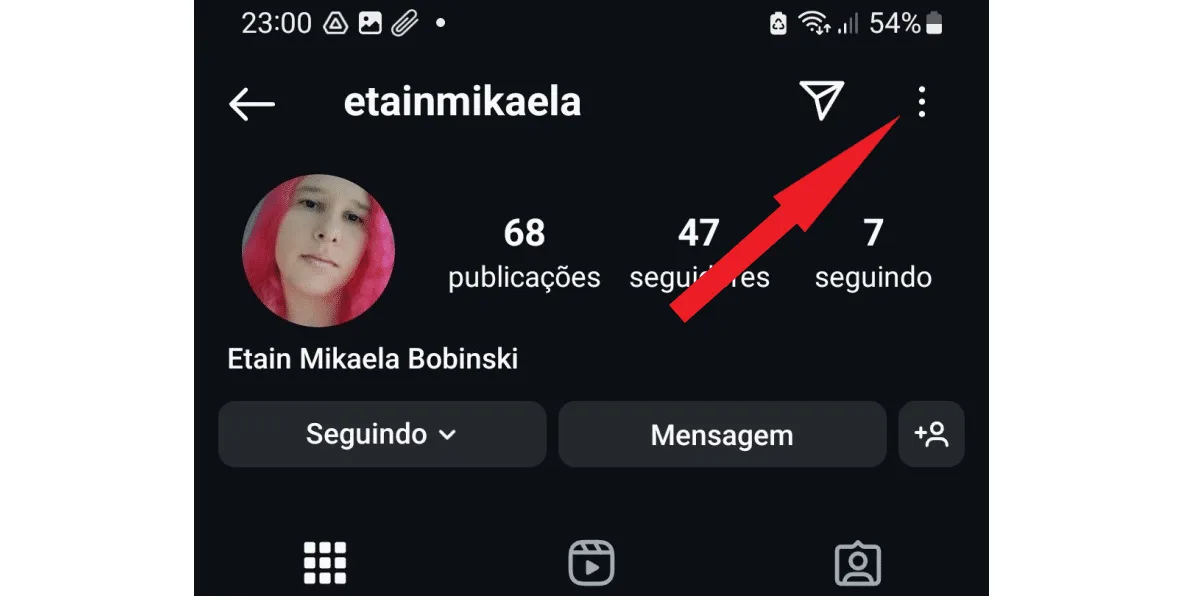 Screenshot showing where the three-dot Instagram button is located.