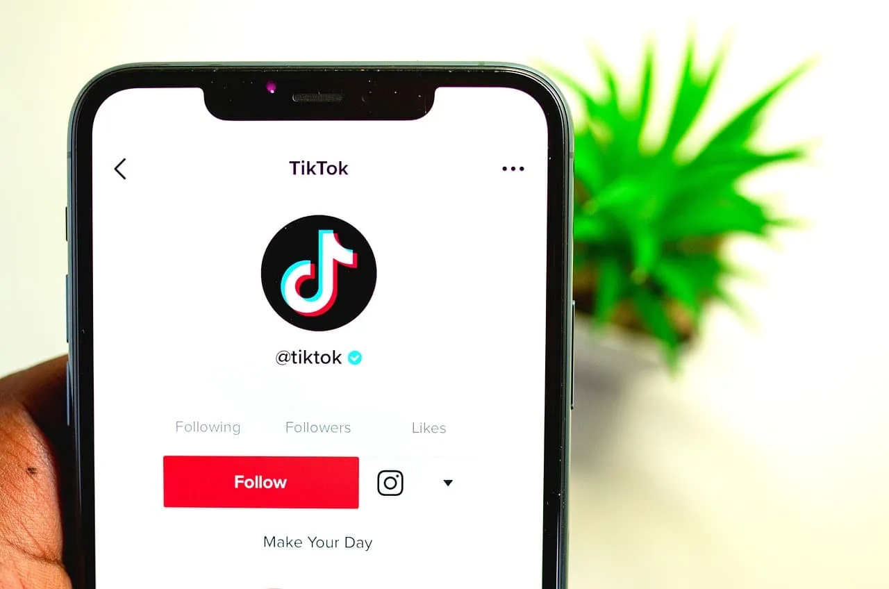 Top of a cell phone with the screen on, showing the TikTok app's home page. Behind it is a vase with foliage.