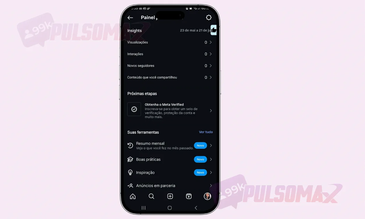 Screenshot of the professional dashboard on Instagram.