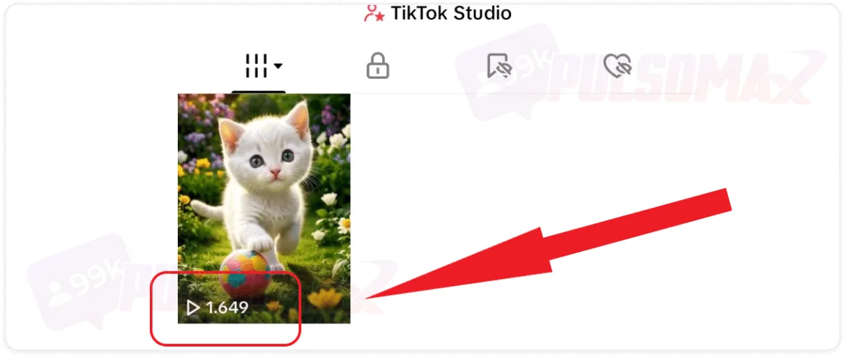 Screenshot showing the number of views on a TikTok video.