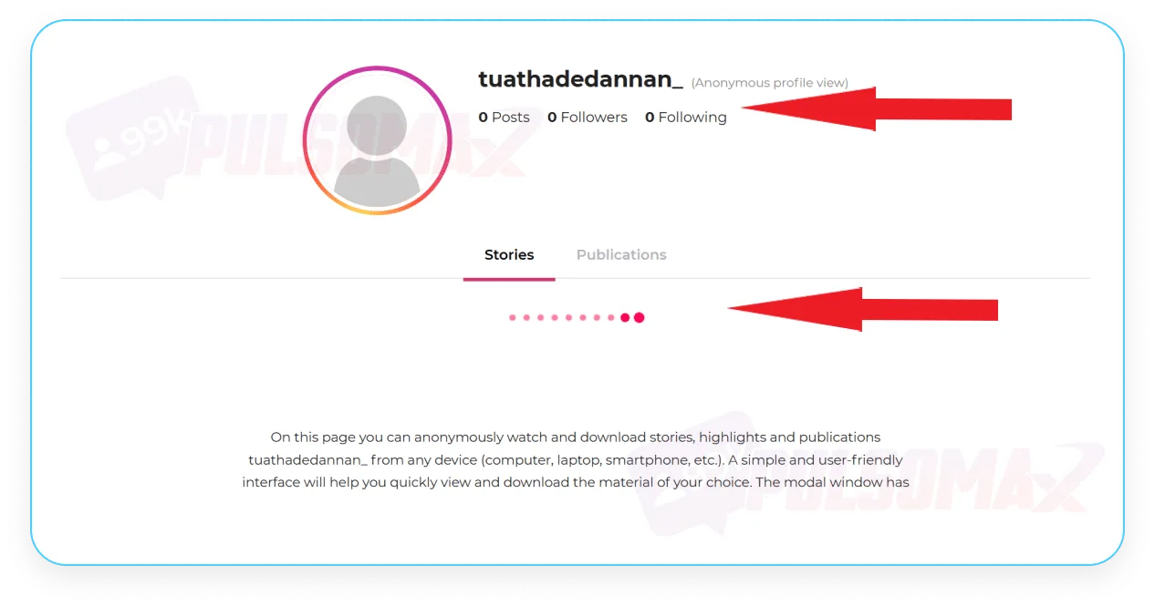 Screenshot showing that Insta Stories Viewer is not displaying correct account data and is not loading stories; it's not working.