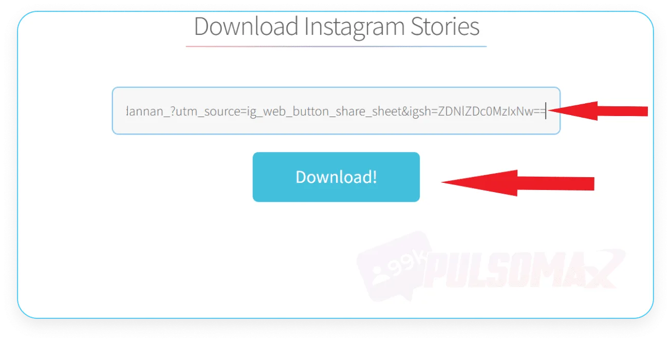 Screenshot showing where to click on Story Saver in a PC browser.