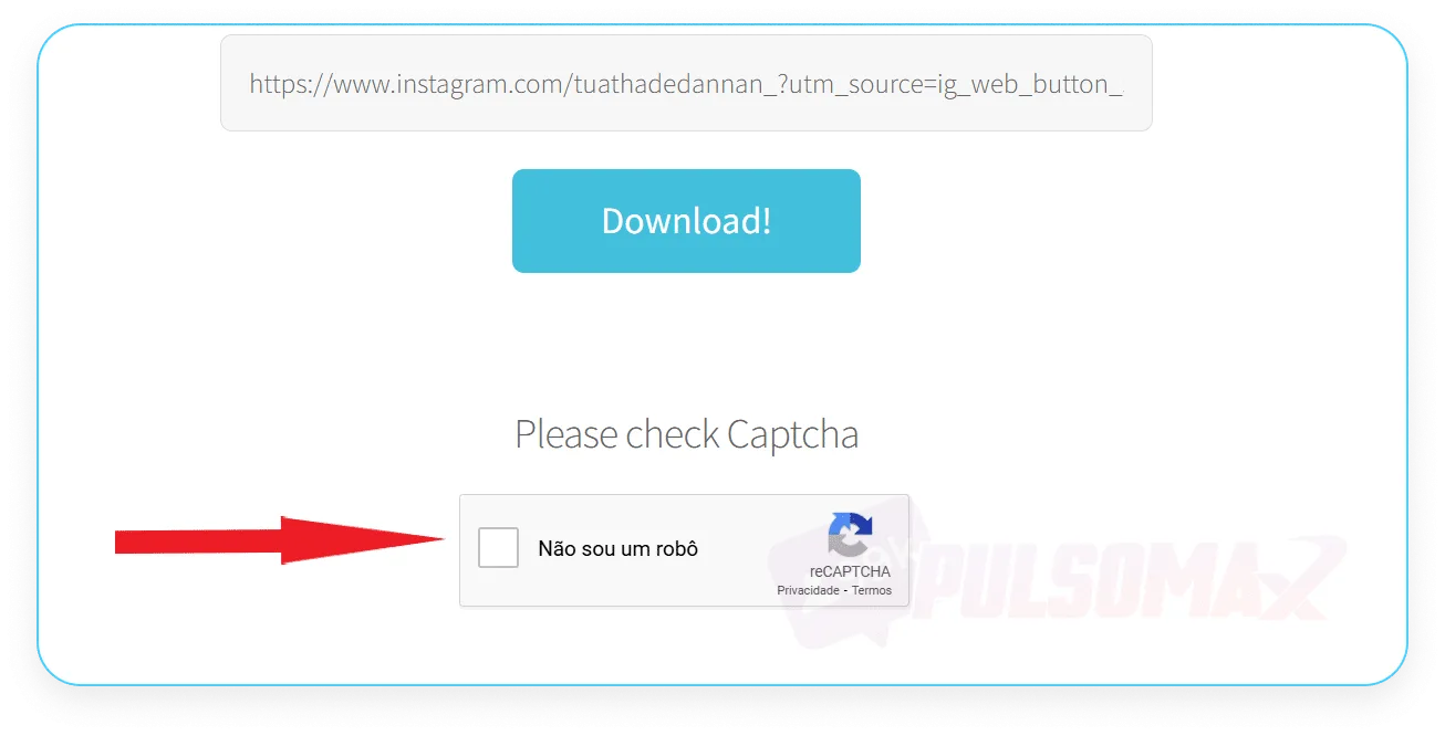 Screenshot showing how to bypass the Story Saver captcha on PC.