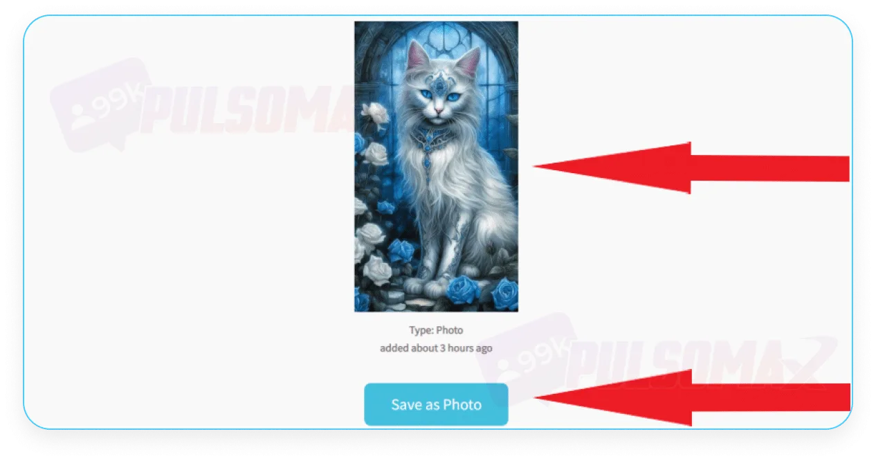 Screenshot showing the preview of stories in Story Saver on a PC.