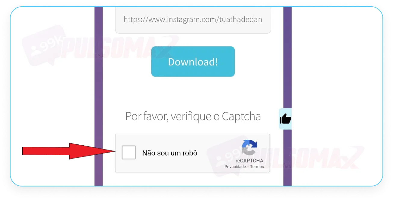 Screenshot showing how to get past the captcha on the Story saver website.