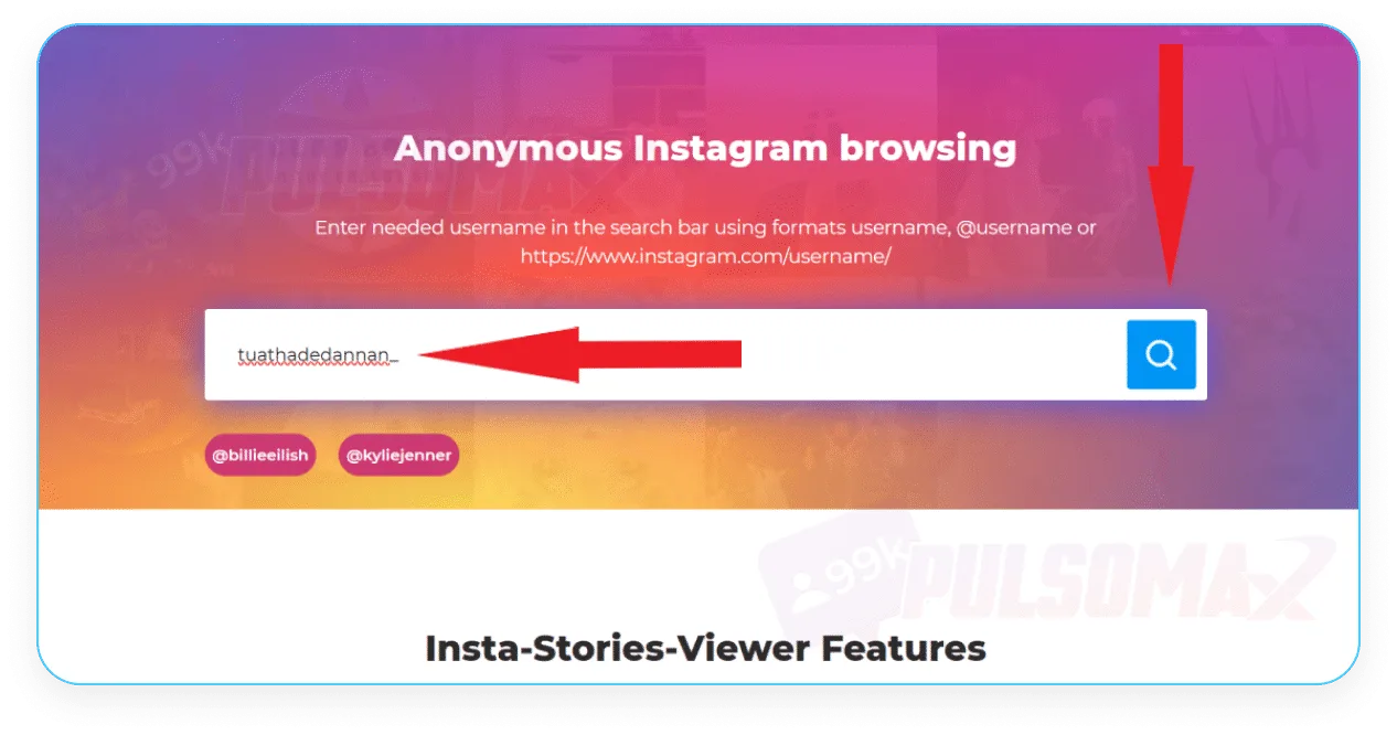Screenshot showing how to use Insta Stories Viewer.