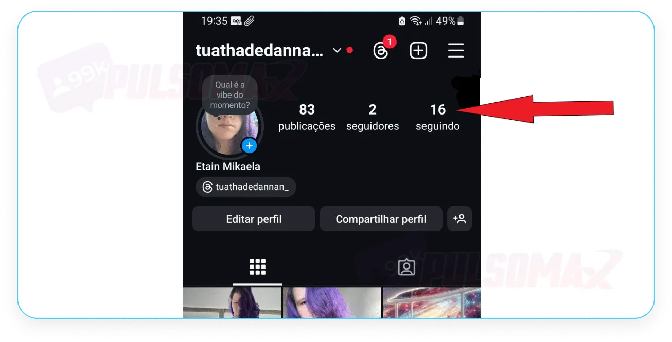 Screenshot showing the account we tried to access with Insta Stories Viewer, and its real data.