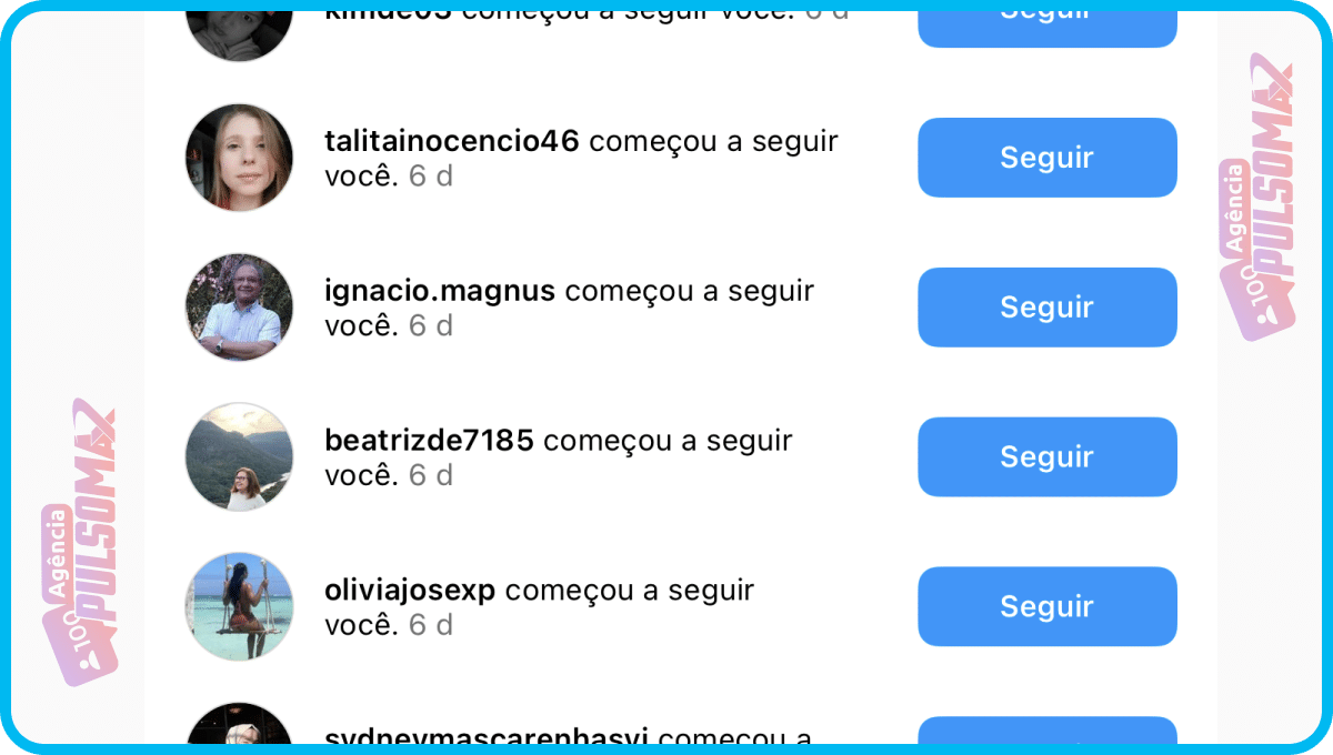 Print mostrando a qualidade dos seguidores da empresa PulsoMax