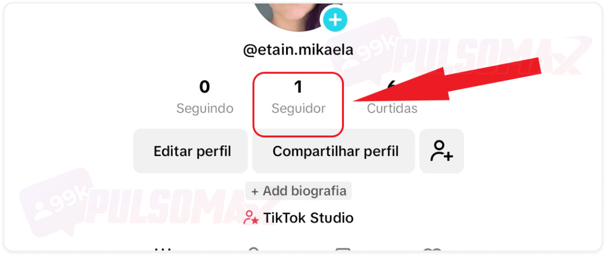 Botão seguidores no TikTok