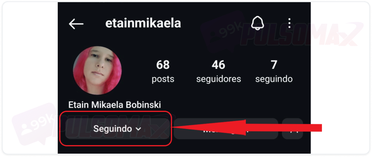 Botão seguindo no perfil do Instagram.