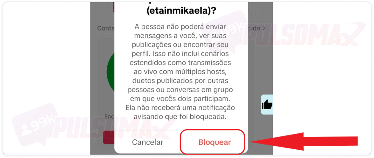 Confirmação de bloqueio no TikTok