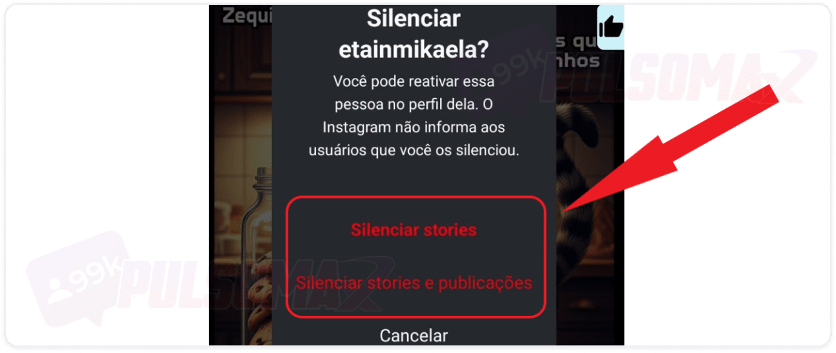 Confirmação de silenciar story no Instagram.