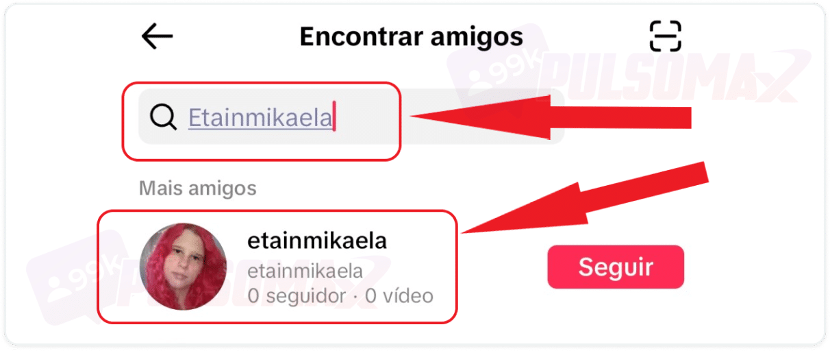 Encontrando perfil no TikTok