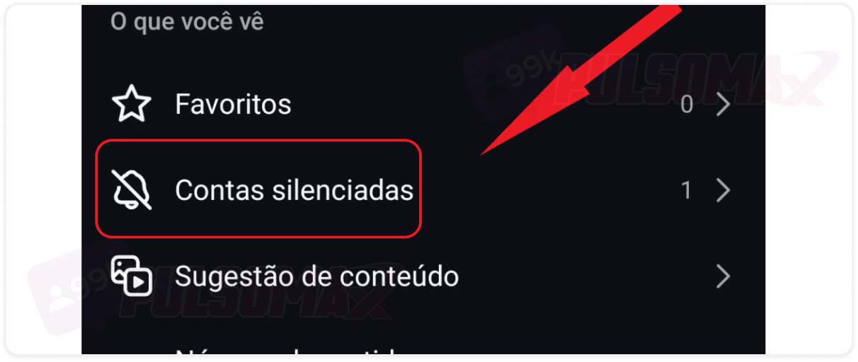 Opção contas silenciadas no Instagram.
