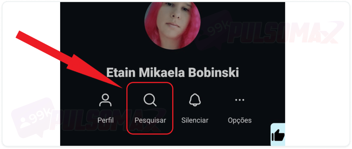 Pesquisar perfil no Instagram