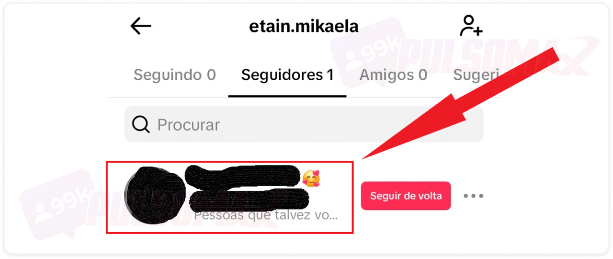 Print mostrando seguidor na lista de seguidores TikTok.