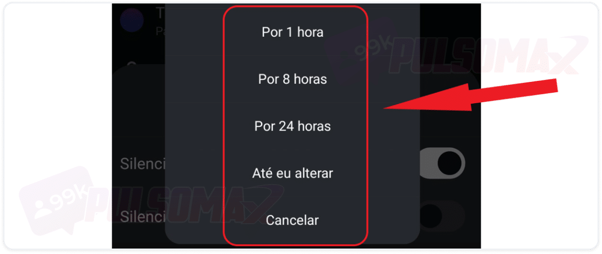 Opções de tempo para silenciar no DM.
