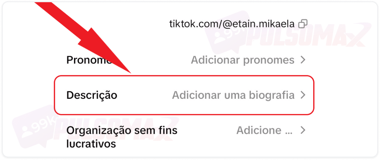 Bio no TikTok