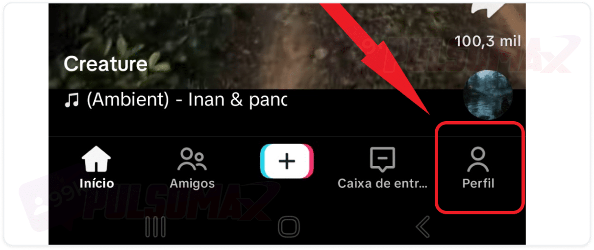 Botão de perfil no TikTok