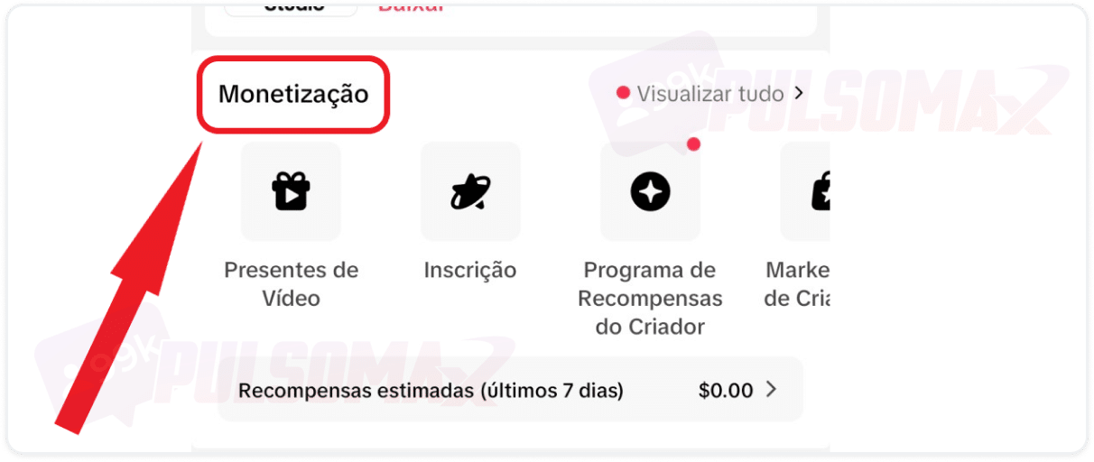 Imagem mostrando a sessão de monetização no app do TikTok. 