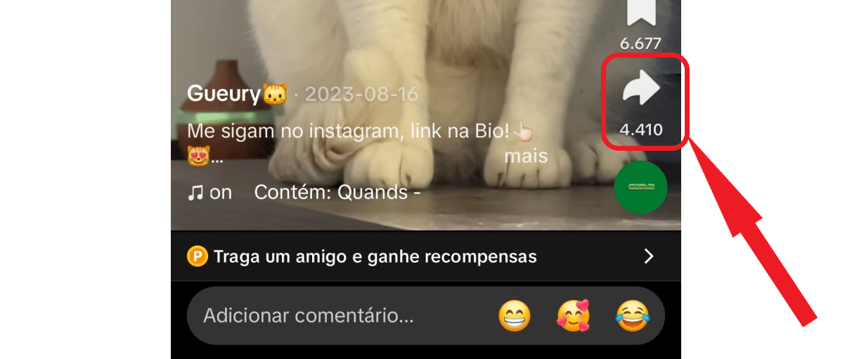 Botão de fecha (compartilhar) do TikTok