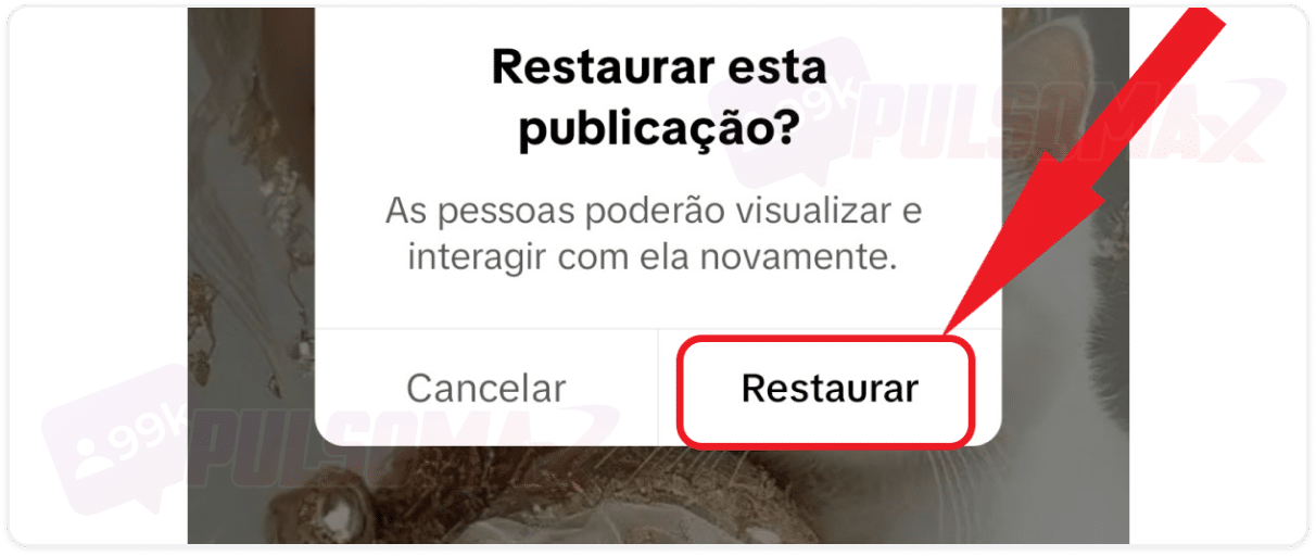 Confirmação restaurar story no TikTok