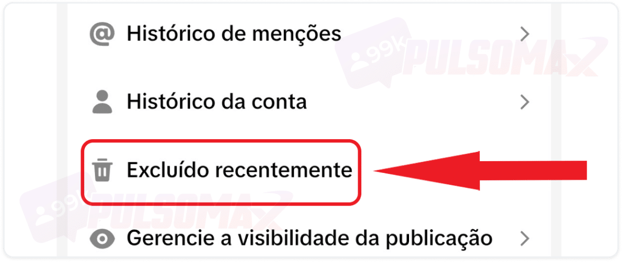 Excluídos recentemente no TikTok