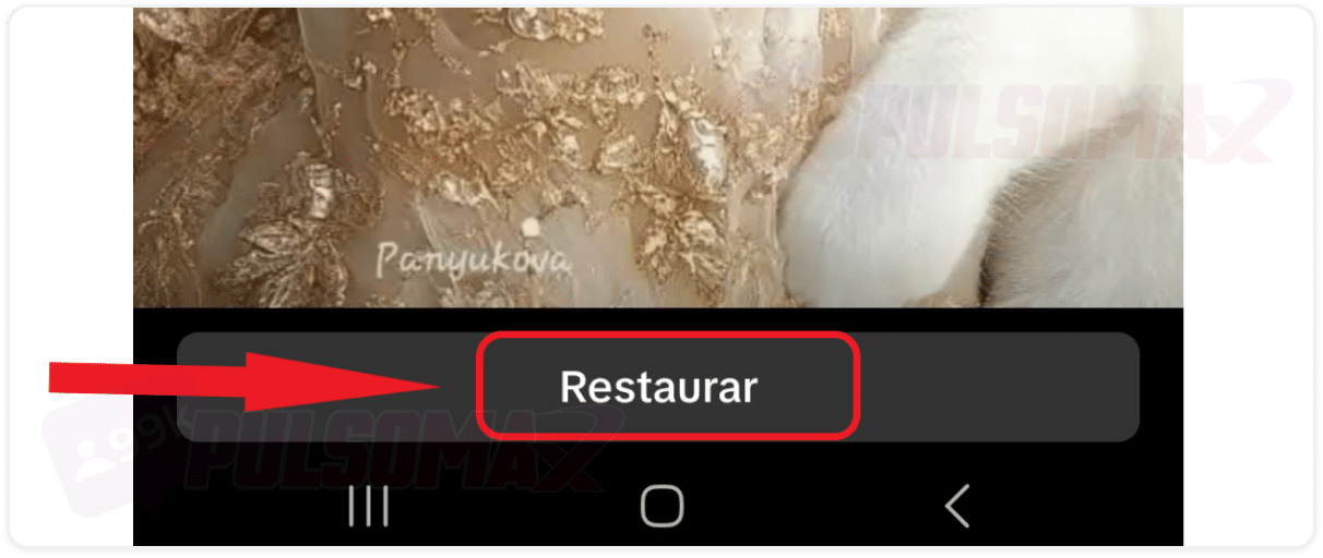 Restaurar Story no TikTok